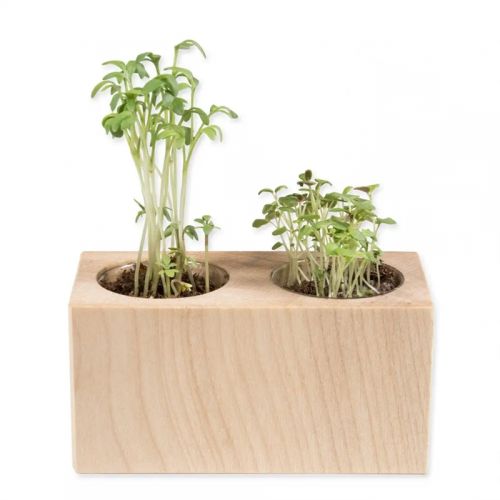 Plant set - Double - Image 2